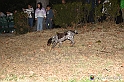 VBS_6426 - Inaugurazione Stagione 2022-23 Simulazione Ricerca Tartufo